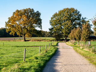 Fototapeta na wymiar Footpath and meadows in countryside near Ootmarsum, Overijssel, Netherlands