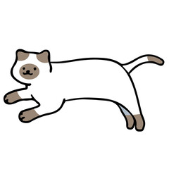 A cat in an outline style character design and a flat design style minimal vector illustration.