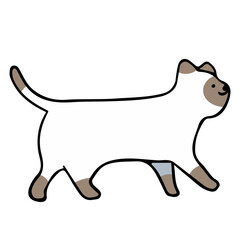 A cat in an outline style character design and a flat design style minimal vector illustration.