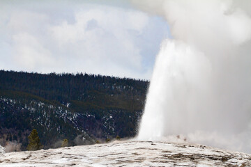 Old Faithful Geyser à Yellowstone