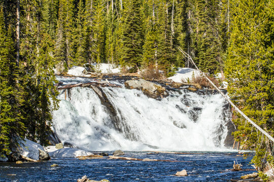 Dans le parc de Yellowstone