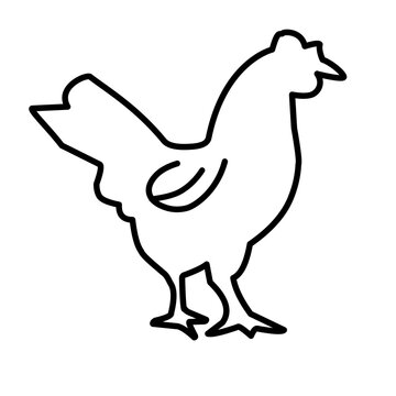 chicken outline sketch