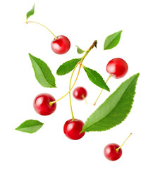 levitation of cherry berries and leaves on a white isolated background