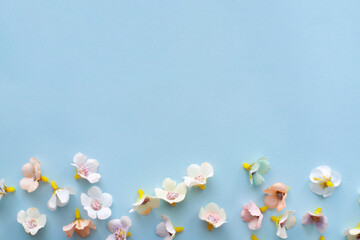 Flat lay banner of flowers on blue background top view