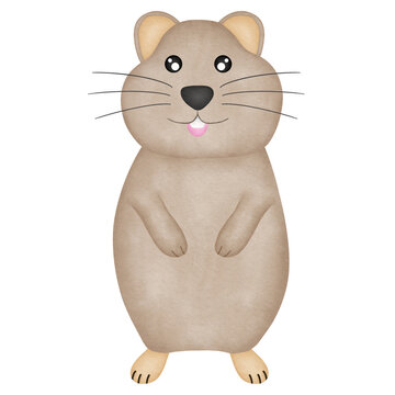 quoka cartoon watercolor illustration