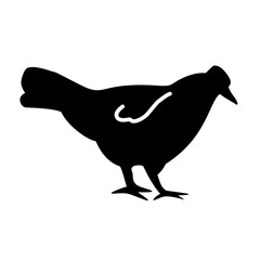 chicken silhouette