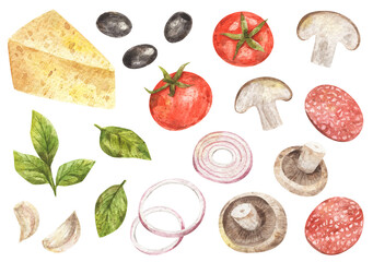 Watercolor set of pizza ingredients. Hand-drawn illustrations of tomatoes, cheese, mushrooms, basil, olives and onion.