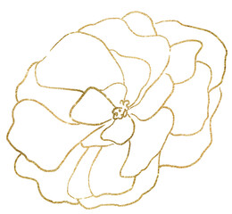 Hand drawn golden outline peony flower, isolated illustration element