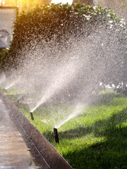 Vertical image of the operation of an automatic lawn watering system on a street in the city.