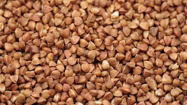 Buckwheat Groats Dry Uncooked Raw Natural Fresh Brown Rotating. Roasted buckwheat kernels. Healthy organic food. Background. 