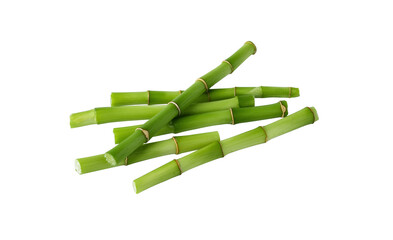 Bamboo shoot isolated on transparent background. Green bamboo stems for design.