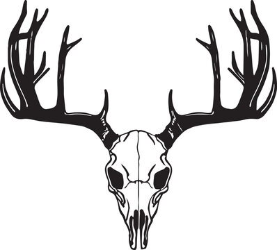 Deer Skull Vector illustration, SVG