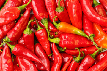 Close up, top down view of many red hot chili peppers, left for drying. Macro healthy food background