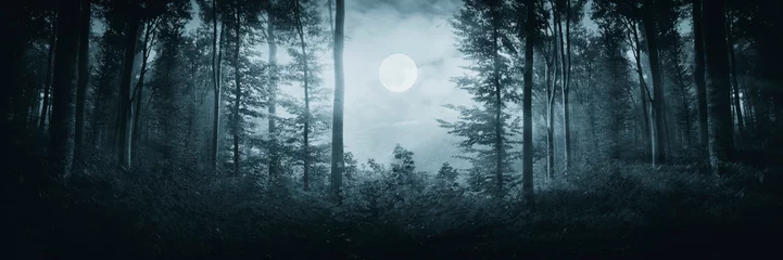 full moon in dark woods at night, fantasy forest panorama © andreiuc88