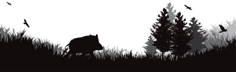 Vector silhouette of boar in a forest. - 591467484