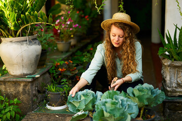 Young woman gardener holding gardening trowel in straw hat taking care of green potted plants....
