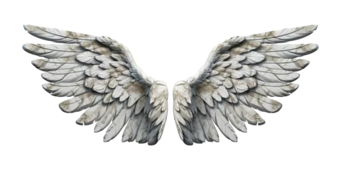 Fotobehang Stone wings isolated on transparent background - Generative AI © comicsans