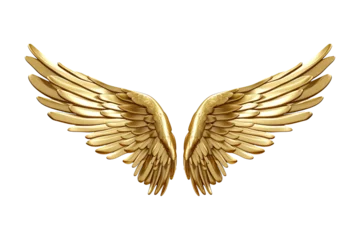 Foto op Plexiglas Golden wings isolated on transparent background - Generative AI © comicsans