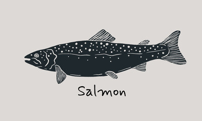 Fototapeta premium Hand drawn salmon fish in sketch style. Simple vector isolated illustration on beige background
