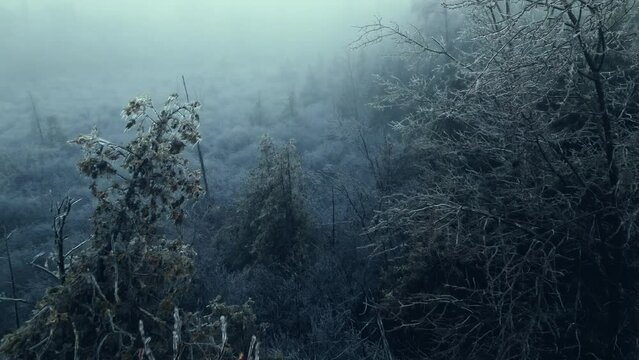Drone shot pushing forward in between trees completely coated in ice after a freezing rain storm