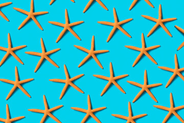 starfish on a blue background