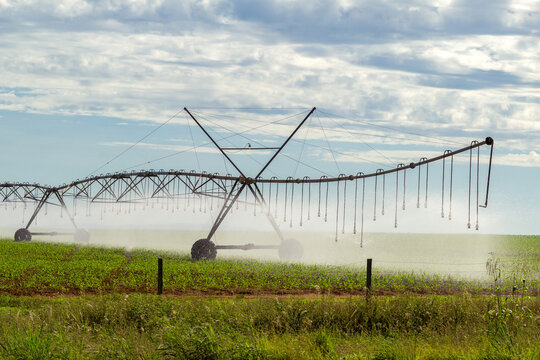 M&aacute;quina de irriga&ccedil;&atilde;o molhando a planta&ccedil;&atilde;o que est&aacute; crescendo, em um dia claro com algumas nuvens no c&eacute;u.