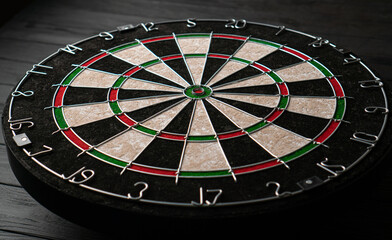 The new classic professional sisal dart target. Close-up, angle view.