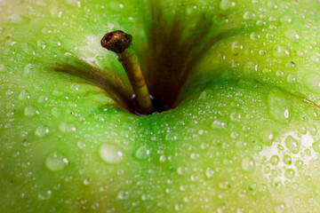 Green apple with dew drops on the peel close-up. - 591473802