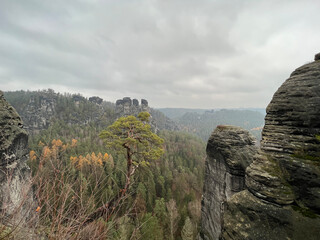 Sächsische Schweiz