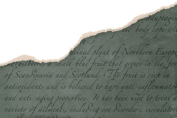 Scrapbook vintage torn paper. Old ripped Blanck for planner, notebook, journal