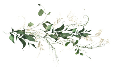 Watercolor painted floral bouquet. Arrangement with wild branches, leaves, twigs and golden graphic elements. Cut out hand drawn PNG illustration on transparent background. Isolated clipart.
