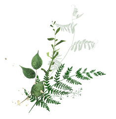 Watercolor greenery arrangement. Green wild meadow plants, fern branches, leaves, golden splashes. Cut out hand drawn PNG illustration on transparent background. Isolated clipart. © satika