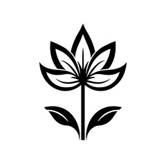 Flower vector illustration isolated on transparent background