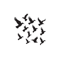 Obraz na płótnie Canvas A flock of birds silhouette illustration.