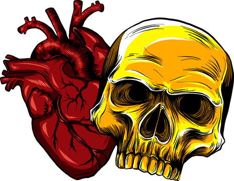 human skull with heart vector illustration design digital hand draw