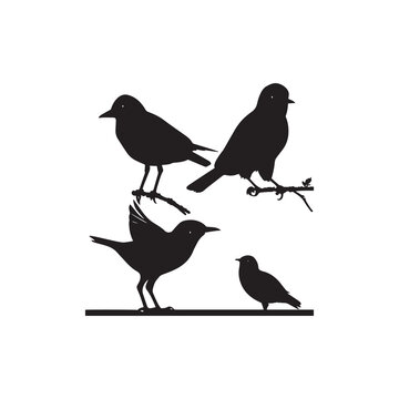  Four sitting birds silhouette vector art.
