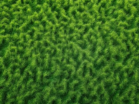 Gr&uuml;ne Textur-Faszination: Realistisches Gras-Rendering, lebendige gr&uuml;ne Hintergrundtextur, Naturinspiration, Fr&uuml;hlings- & Sommer-Design 18