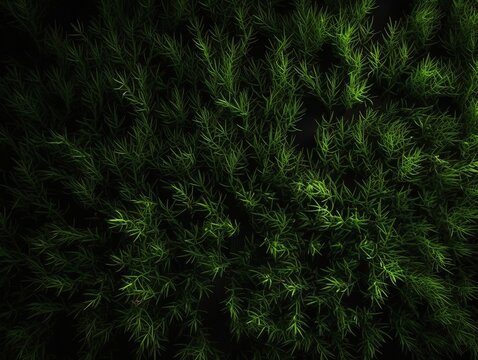Gr&uuml;ne Textur-Faszination: Realistisches Gras-Rendering, lebendige gr&uuml;ne Hintergrundtextur, Naturinspiration, Fr&uuml;hlings- & Sommer-Design 7