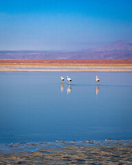 San Pedro de Atacama - Chile