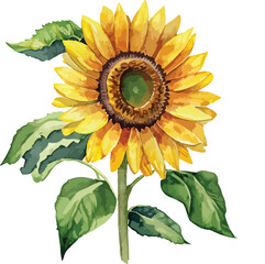 Fototapeta premium Watercolor floral arrangements with beautiful flowers, Watercolor vintage floral bouquet 