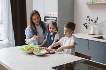 Lifestyle photo of cooking. Mom teaches her six-year-old son how to cut a cucumber with a knife. Under celebrated moment.