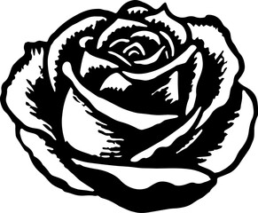Illustration of rose in drawing stencil style.