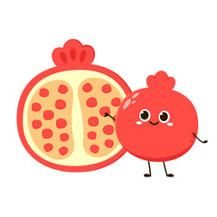 Pomegranate fruit in continuous cartoon vector style. Pomegranate contour with color. Flat isolated illustration. Pomegranate fruit mascot.