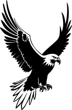 Illustration of flying eagle in black and white style.