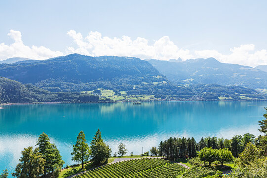 Switzerland, St Gallen Canton, Scenic view of Lake Walen and Churfirsten range with vineyard in foreground