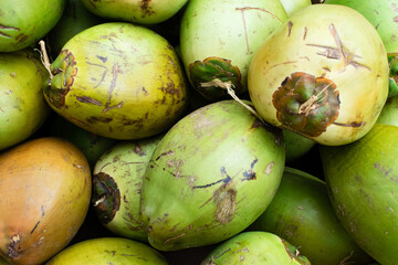 Green coconuts