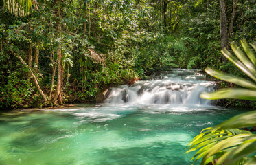 Crystal clear waterfall surrounded by emerald green jungle in Jalapao