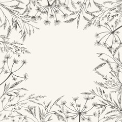 Square frame with wild plants. Botanical card with dry grass. Vector illustration. Engraving style.  Layout border for invitations, postcards, advertising, logos, covers, labels. Black and white.
