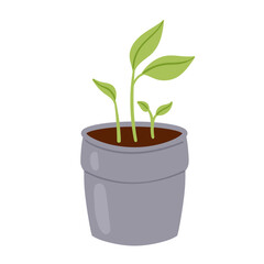 Sprout in pot. Potted houseplant, herbs in pot, gardening activity vector illustration