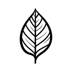 Leaf vector illustration isolated on transparent background